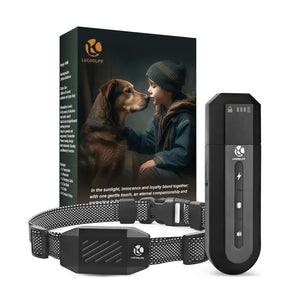 Best Dog Training Collar