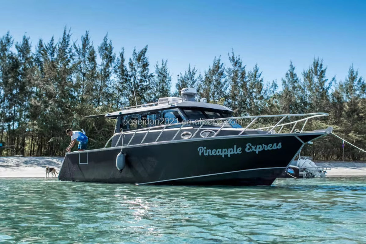 New Sea King Luxury 36Ft Fishing Speed Boat Sport Yacht Cruiser with Motor