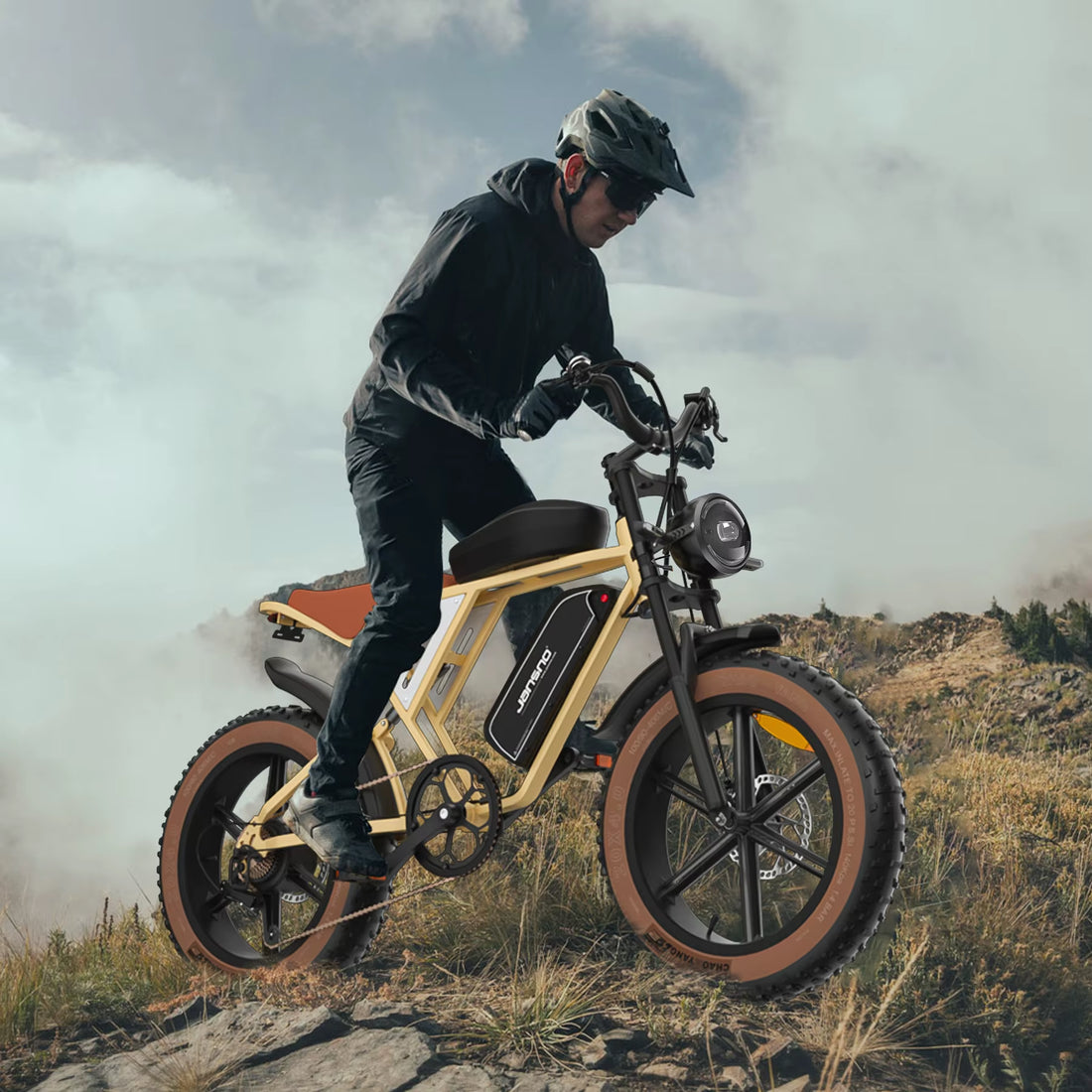 Premium Adult Electric Bike 750W City Dual Battery Mountain Ride