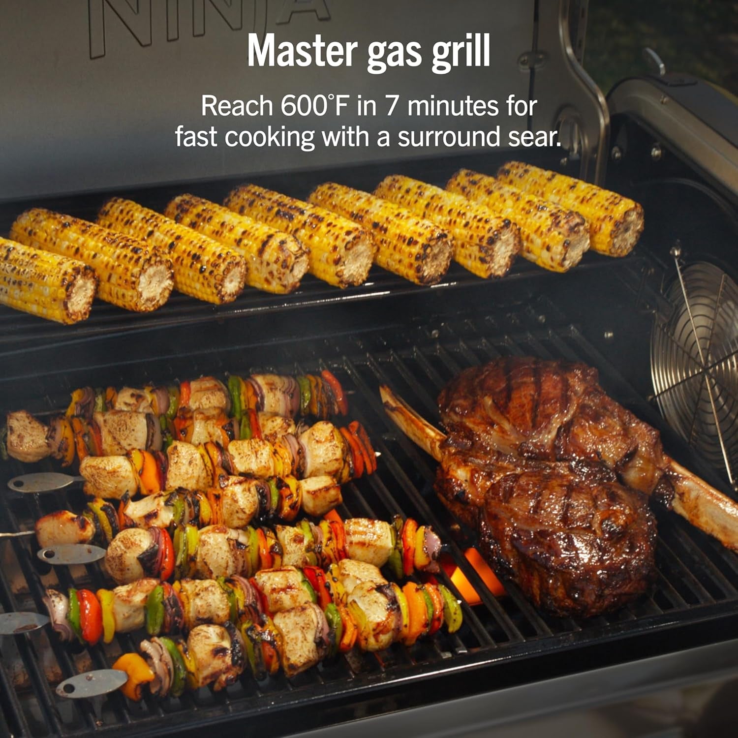 Flexflame Proconnect Grill & Smoker | 5-In-1 Smart Cooking System | Electric & Propane | App-Connected | 3-Burner Digital Control | Roast, Griddle & Pizza Maker | Black/Gold | PG305