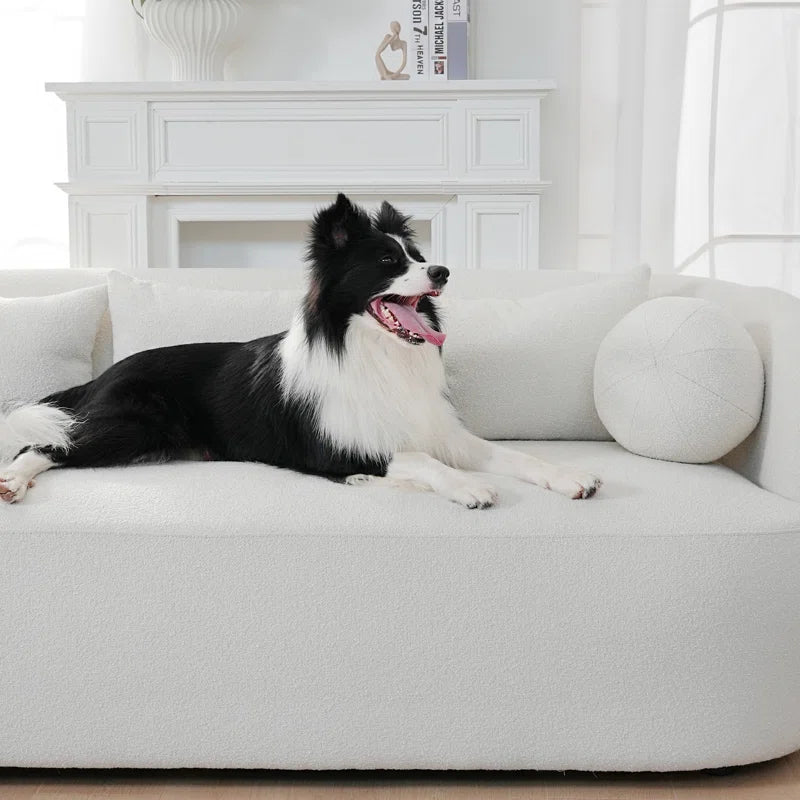 Elite Living New Upholstered Sofa for Home