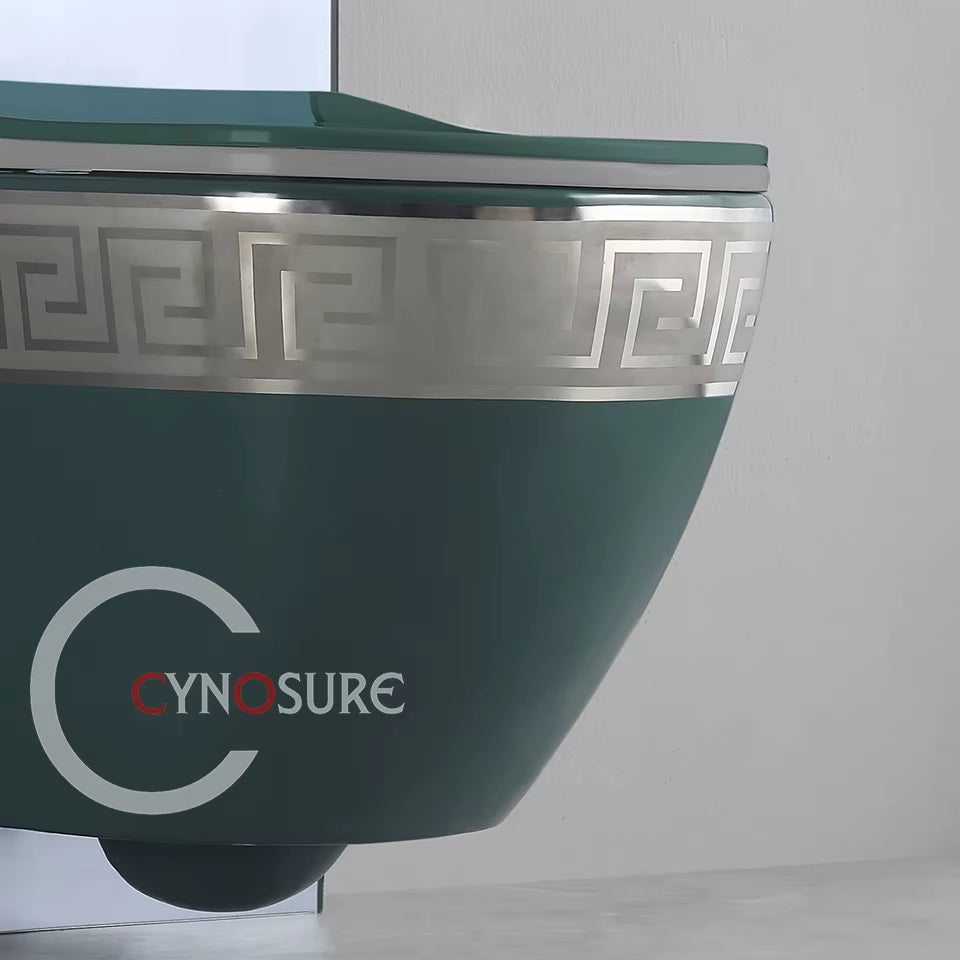 Modern Home Ceramic Toilet High Quality Bathroom Sanitary 