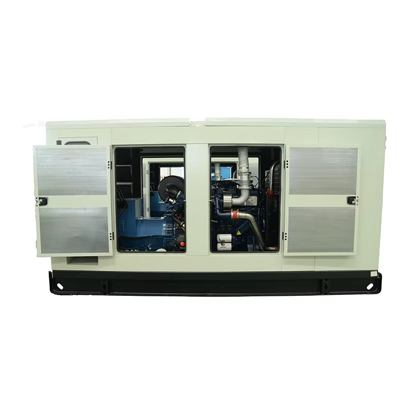 New 1MW Natural Gen for Bitcoin Mining Farm Continuous Power AI Computing Power generator
