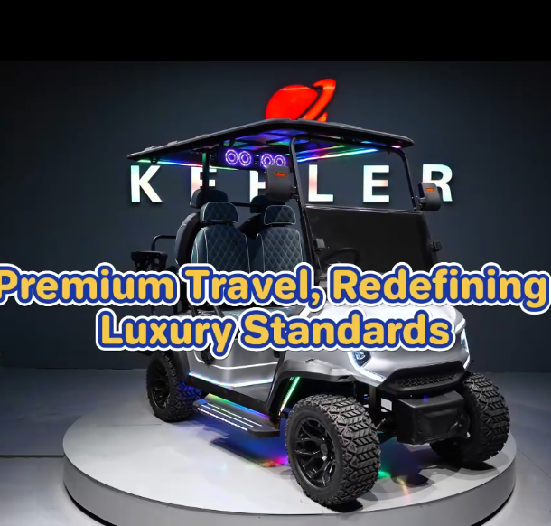 New Luxury Electric Golf Cart Buggy 