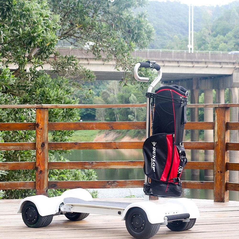 New High Power Modern Golf Scooter Ryder