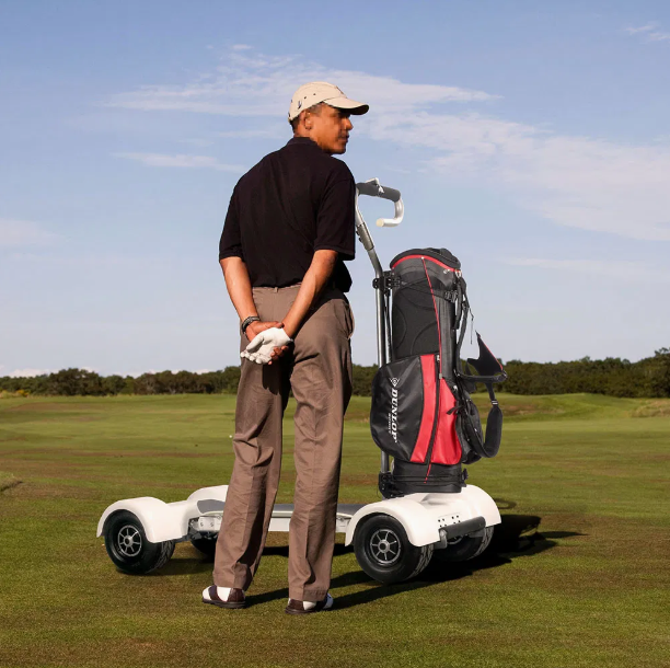 New High Power Modern Golf Scooter Ryder