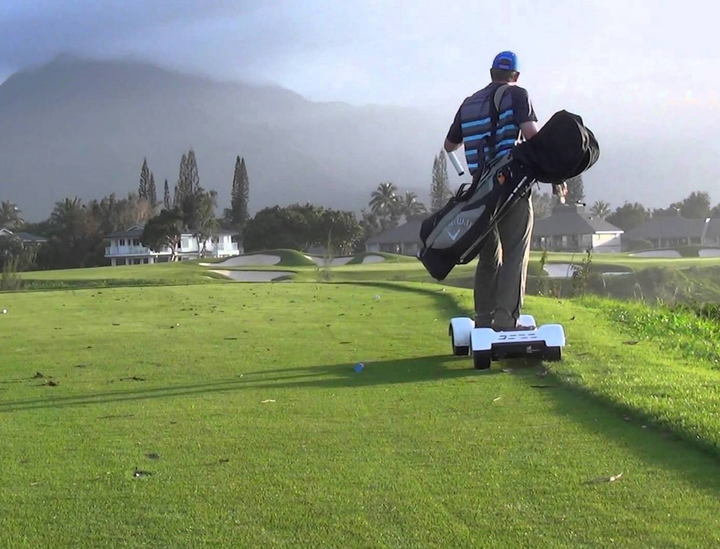 New High Power Modern Golf Scooter Ryder