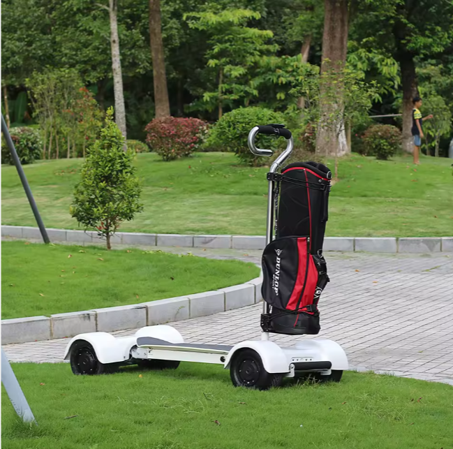 New High Power Modern Golf Scooter Ryder