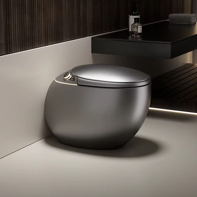 Modern Smart Automatic Flush Electric Bluetooth Speaker Toilet