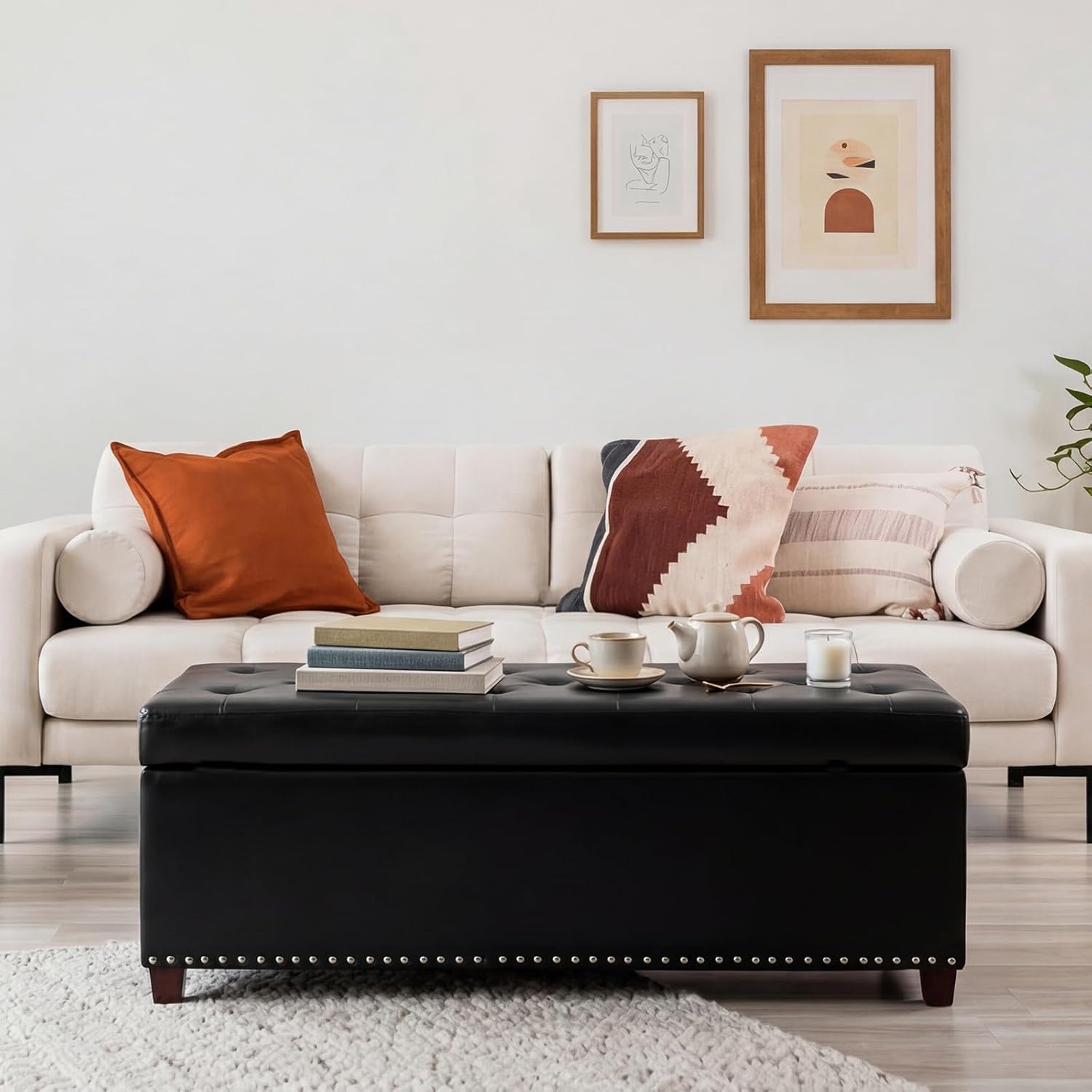 Living room with a white sofa, black ottoman, and decorative pillows.