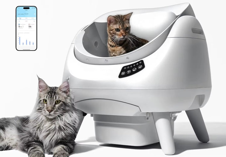 Modern Self Cleaning Cat Litter Box Open-X, 5G & 2.4G Wifi, Automatic