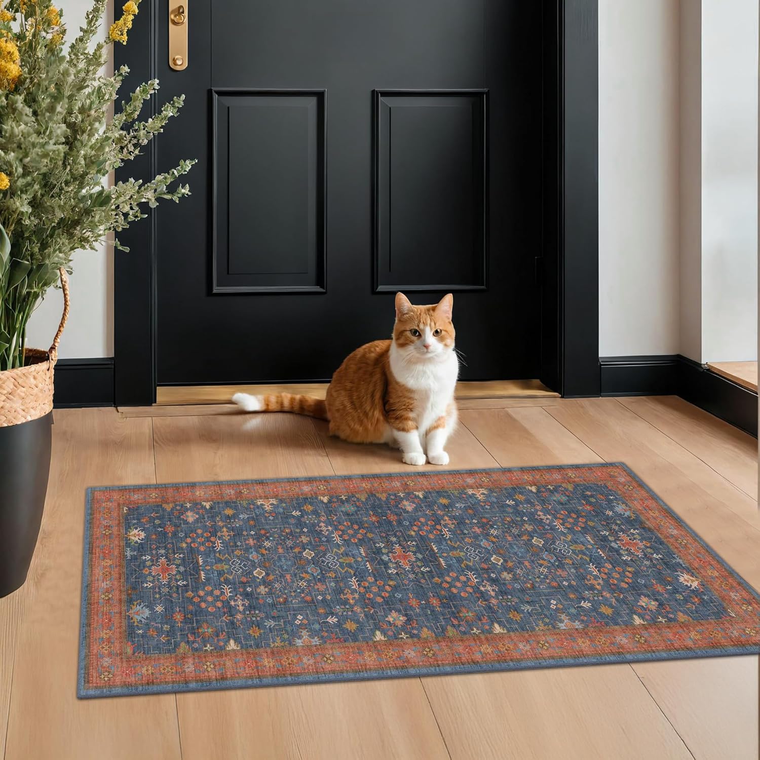 Modern Black Rug for Living Room - Washable Non-Slip & Stain Resistance