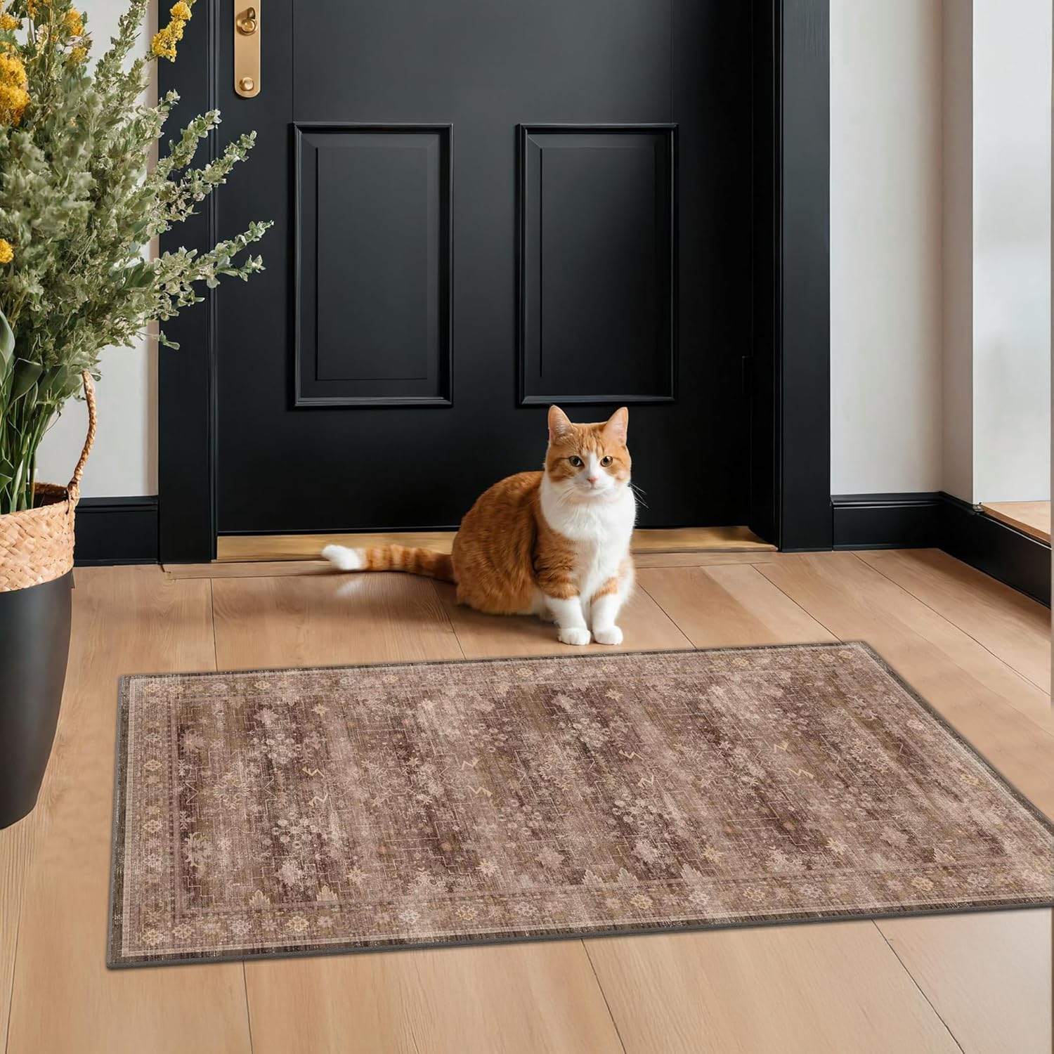 Modern Black Rug for Living Room - Washable Non-Slip & Stain Resistance