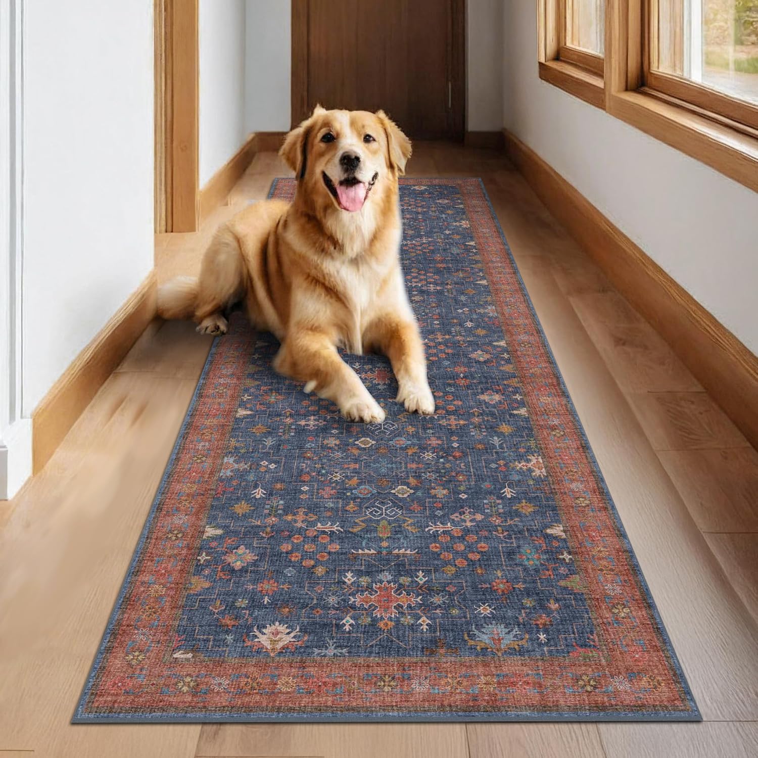 Modern Black Rug for Living Room - Washable Non-Slip & Stain Resistance