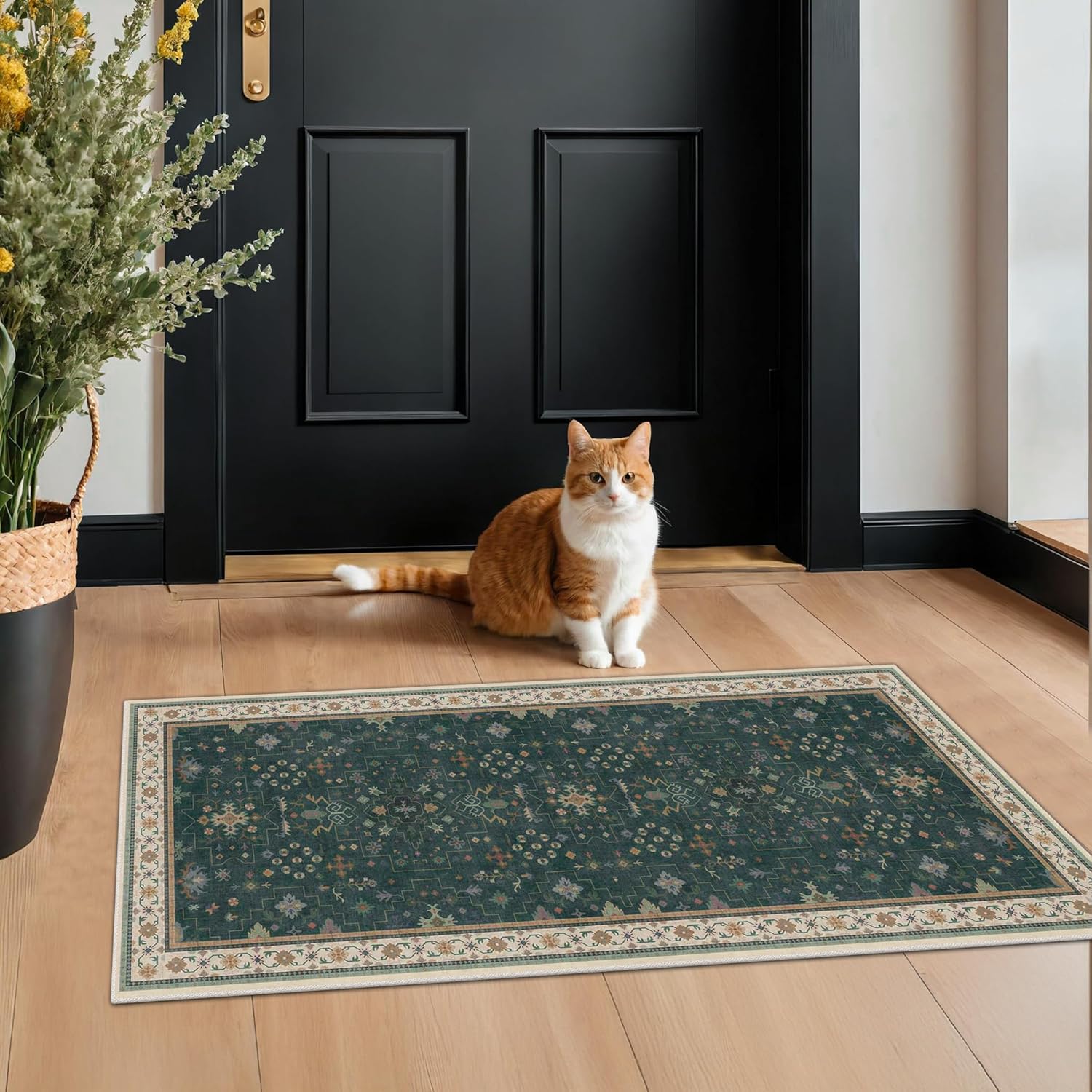 Modern Black Rug for Living Room - Washable Non-Slip & Stain Resistance