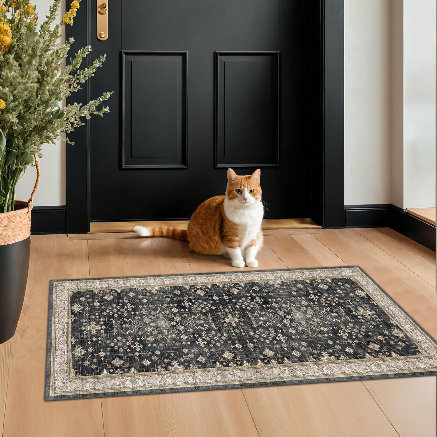 Modern Black Rug for Living Room - Washable Non-Slip & Stain Resistance
