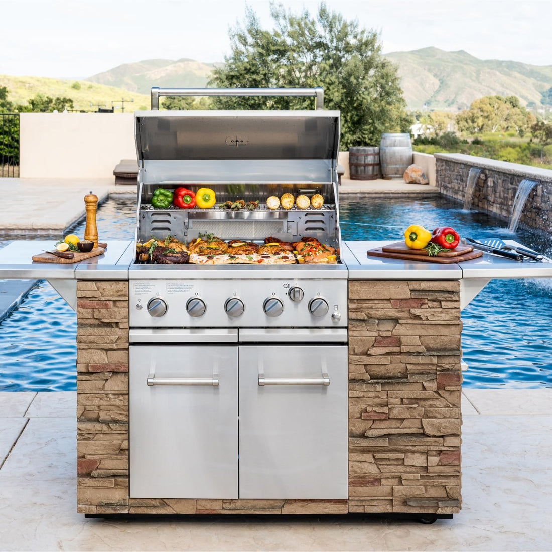 New Smart 5 Burner Built in Gas Barbeque Grill 