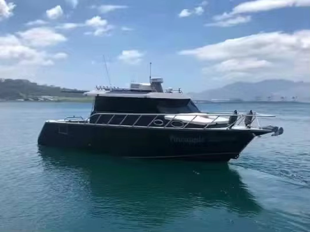 New Sea King Luxury 36Ft Fishing Speed Boat Sport Yacht Cruiser with Motor