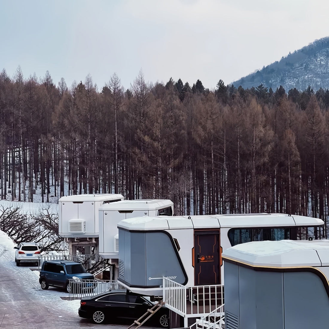 Modern Smart Customizable Prefab Luxury Tiny House with Amenities