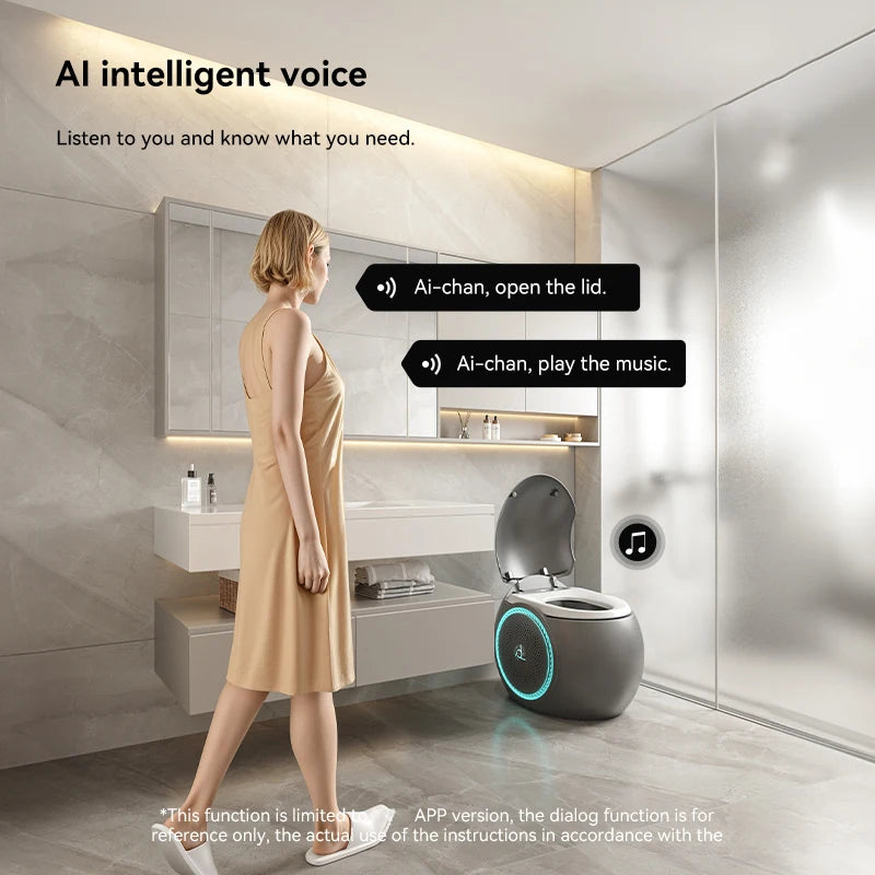 Modern Smart Automatic Flush Electric Bluetooth Speaker Toilet