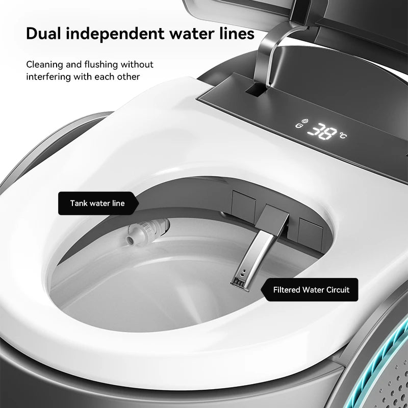 Modern Smart Automatic Flush Electric Bluetooth Speaker Toilet