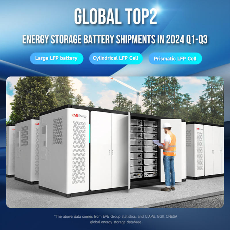 Energy storage battery system with a person inspecting it, set against a natural background.