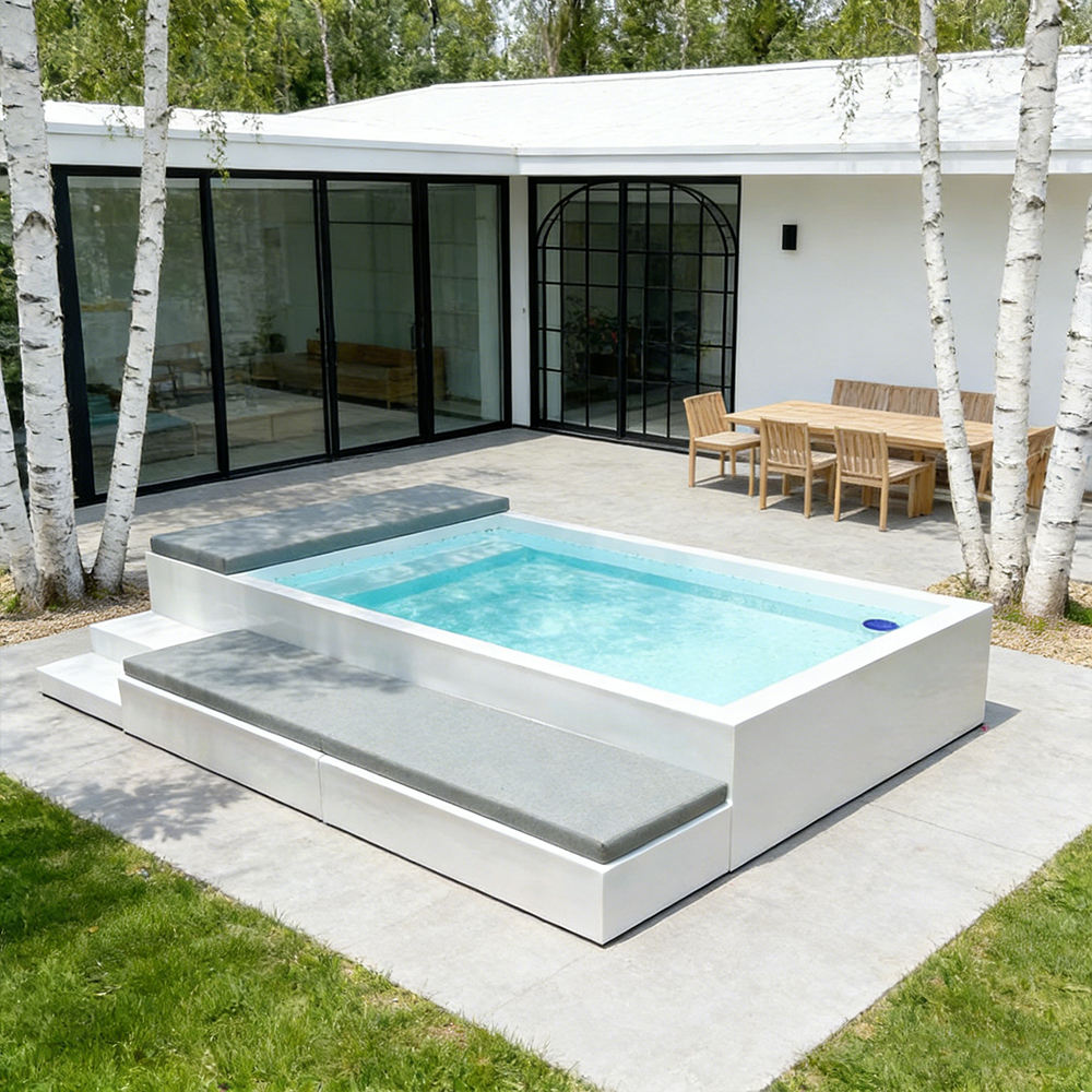 New Vintage Family above Ground  Swim Spa Plunge Pool