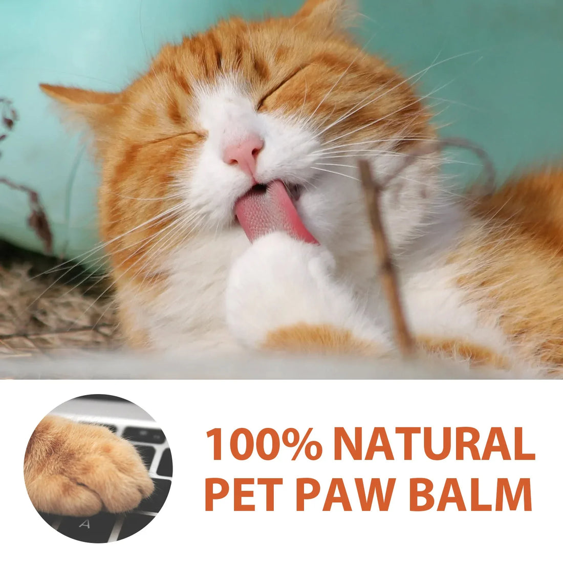 Pet Paw Cream Dog Cat Paw Cleaner Kitten Foot Washer Foot Cleaning Protection Moisturizer Pet Supplies Dry Healthy Care Balm 30G