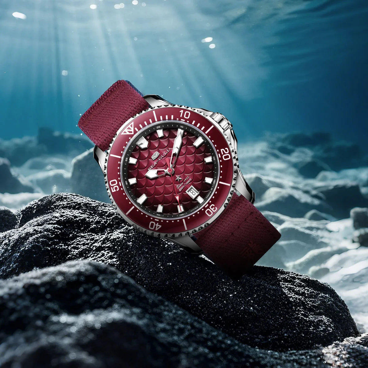 Premium Seagull Dragon King Automatic Diving Watch – 300M Waterproof Luxury