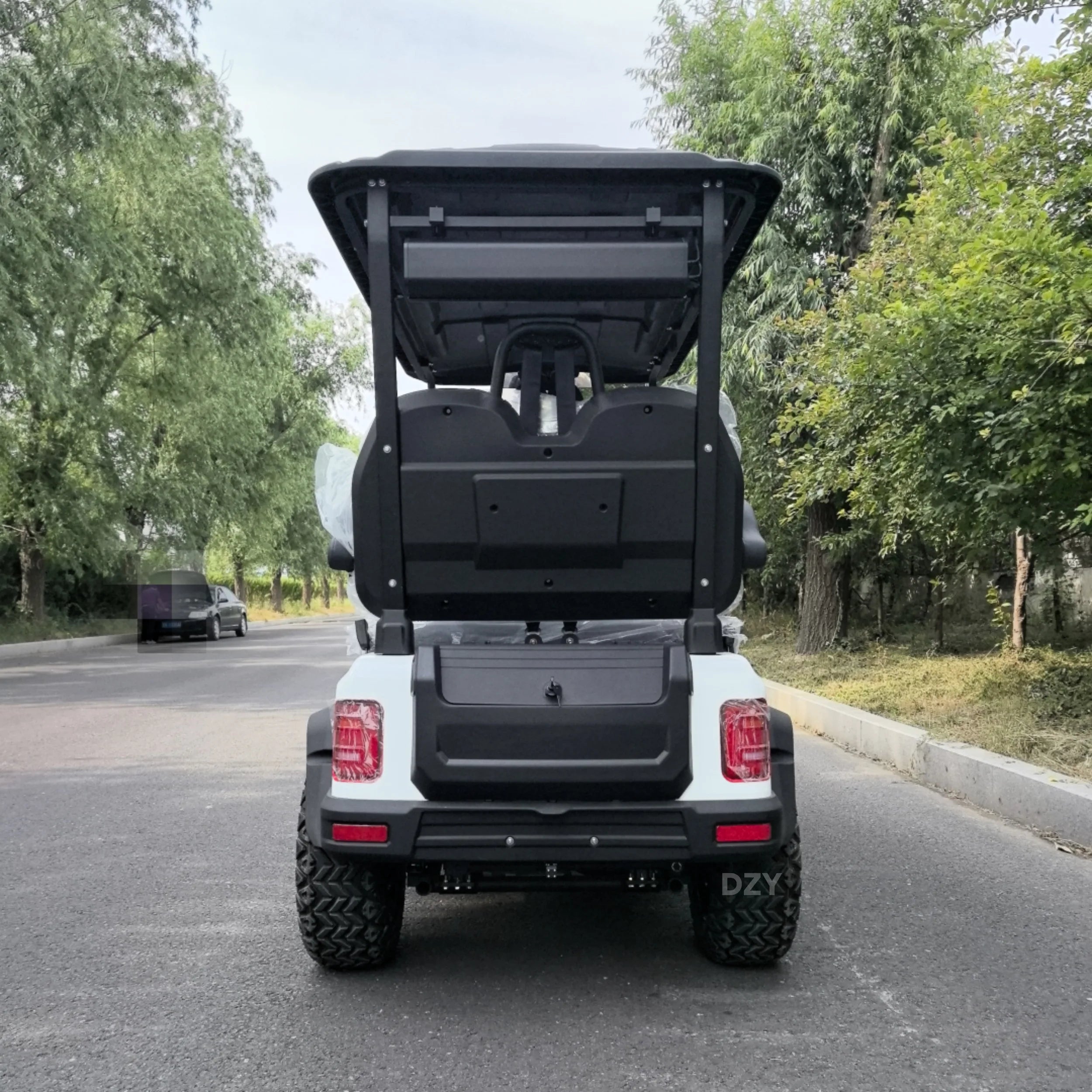 Customized Electric Golf Cart 2+2 4-Seater Lithium Battery Practical Golf Off-Road Vehicle Electric Golf Cart