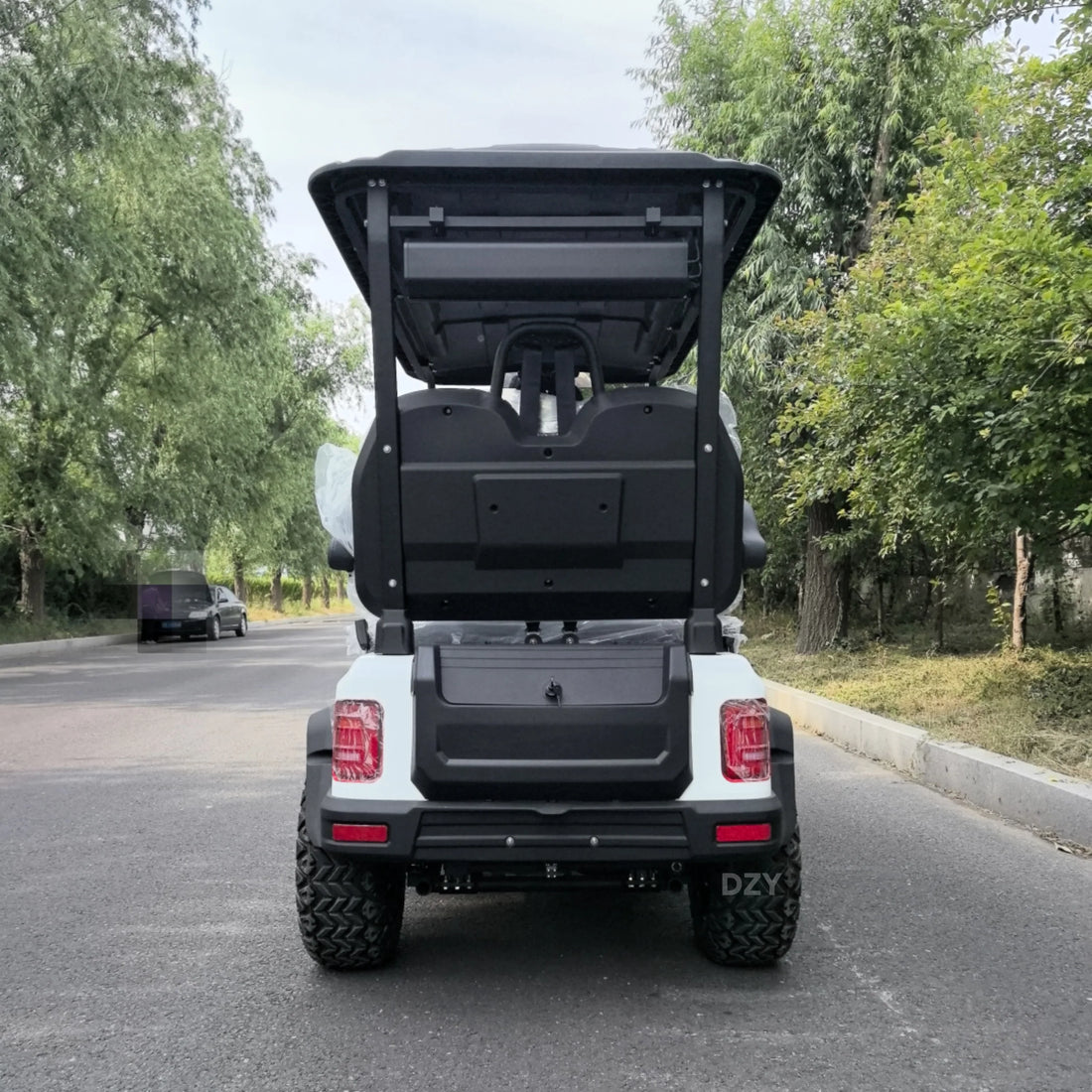 Customized Electric Golf Cart 2+2 4-Seater Lithium Battery Practical Golf Off-Road Vehicle Electric Golf Cart