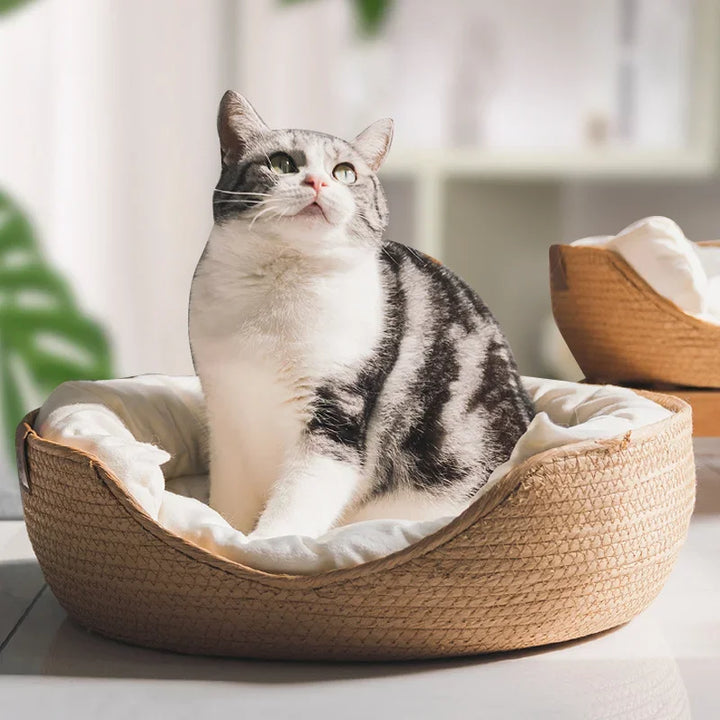 New Four Season Cozy Nest Baskets Cat Kennel Dog Beds Waterproof