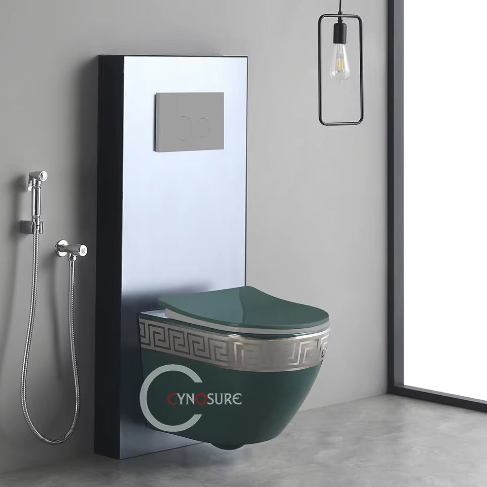 Modern Home Ceramic Toilet High Quality Bathroom Sanitary 