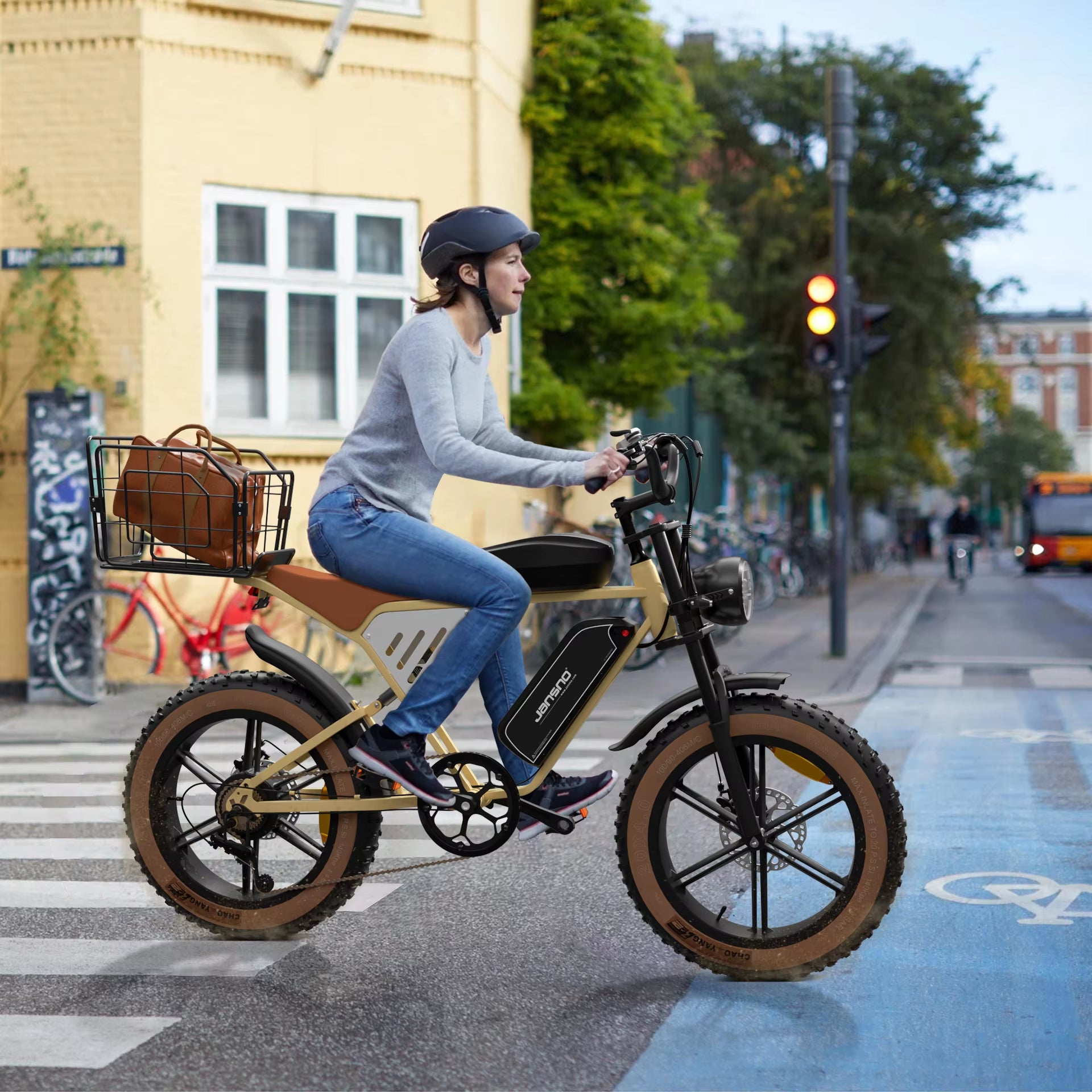 Premium Adult Electric Bike 750W City Dual Battery Mountain Ride