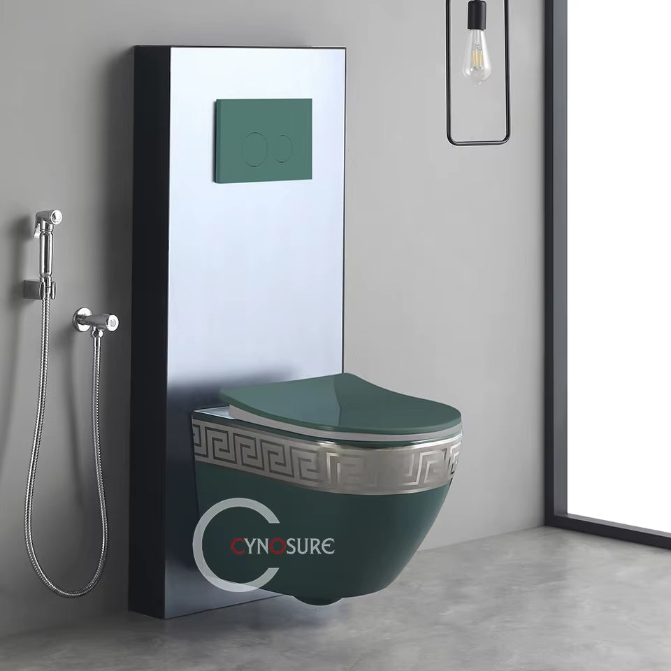 Modern Home Ceramic Toilet High Quality Bathroom Sanitary 